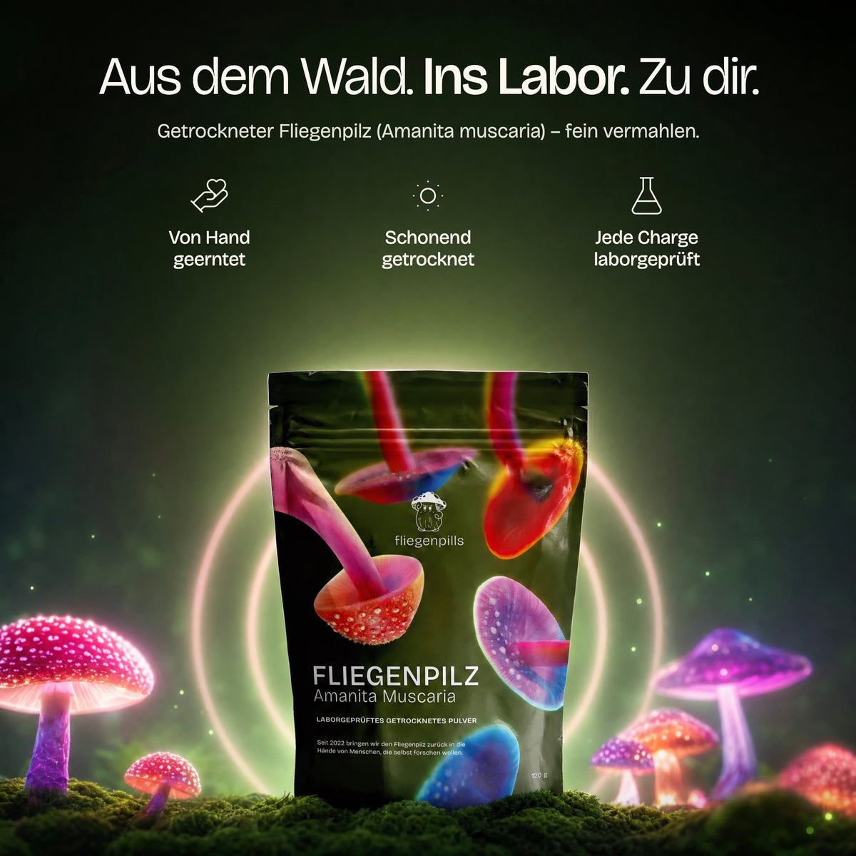 Getrockneter Fliegenpilz (Amanita muscaria): von Hand geerntet, schonend getrocknet, laborgeprüft