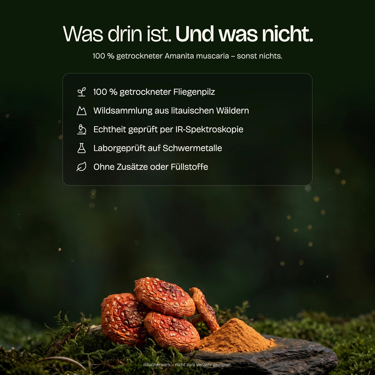 Was im Fliegenpilz Pulver drin ist: 100 % getrockneter Amanita muscaria aus Wildsammlung