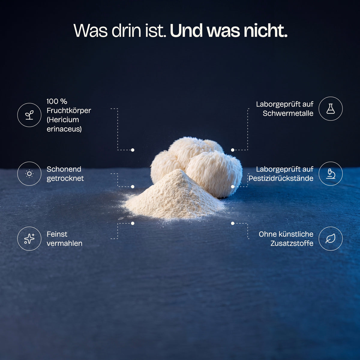 Was im Lion's Mane Pulver drin ist: Hericium erinaceus Fruchtkörper, laborgeprüft