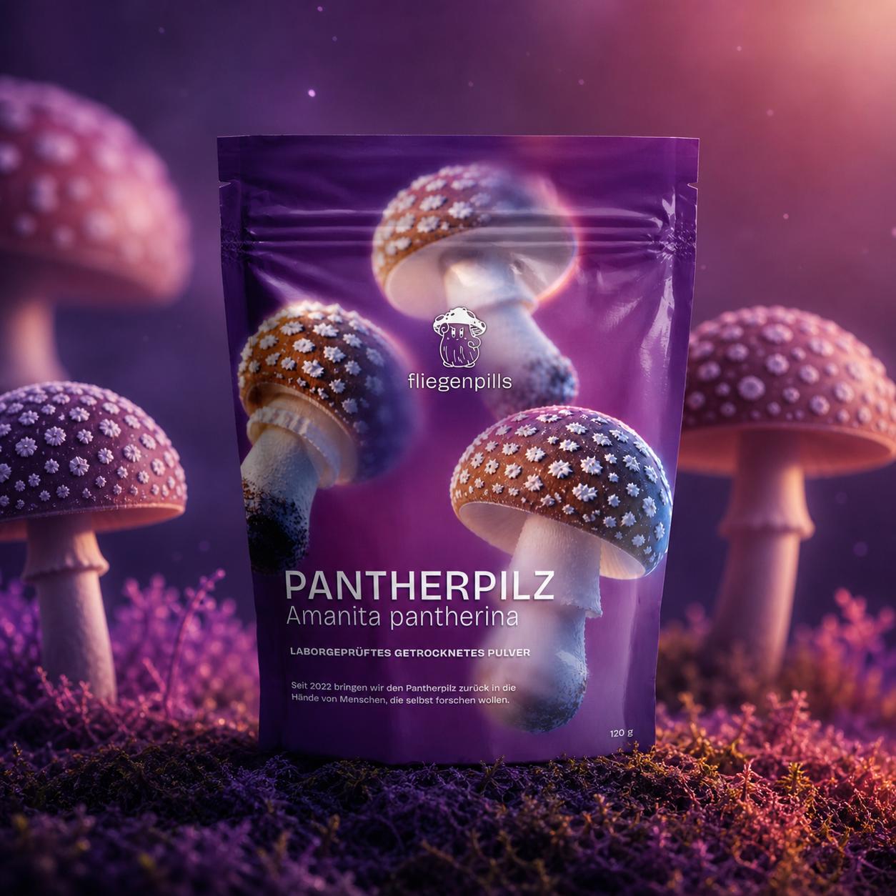 Pantherpilz: Amanita Pantherina getrocknet - Räucherwerk