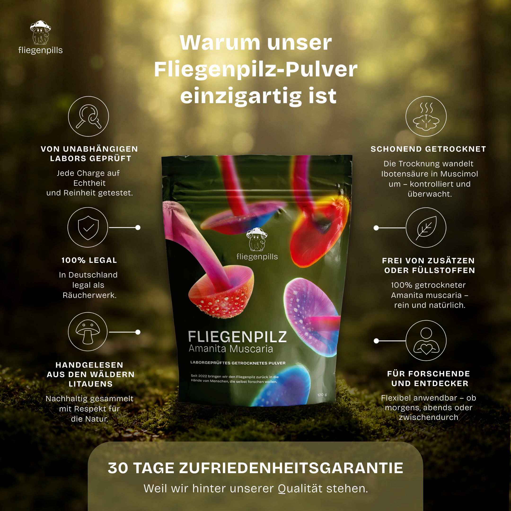 Fliegenpilz kaufen: Amanita Muscaria Pulver getrocknet - Räucherwerk