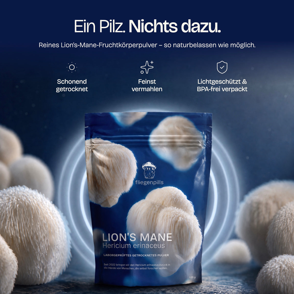 Lion's Mane Fruchtkörperpulver – schonend getrocknet, fein vermahlen, lichtgeschützt verpackt