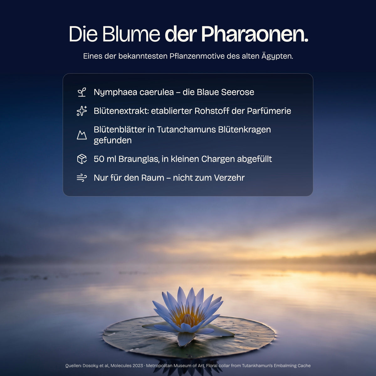 Nymphaea caerulea – die Blume der Pharaonen