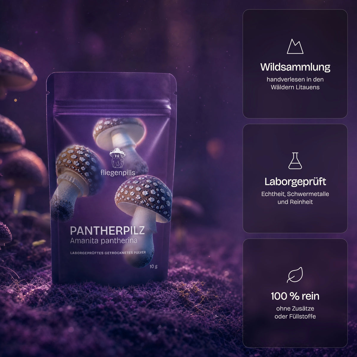 Pantherpilz von fliegenpills: Wildsammlung, laborgeprüft, 100 % rein