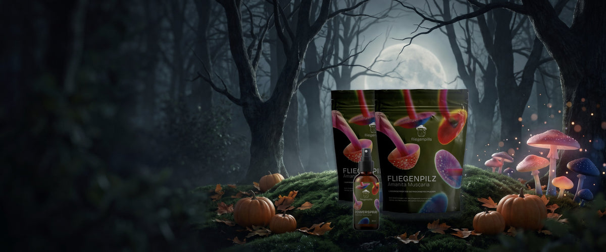 fliegenpills Fliegenpilz-Pulver 30 g und POWERSPRAY im Halloween-Mondwald